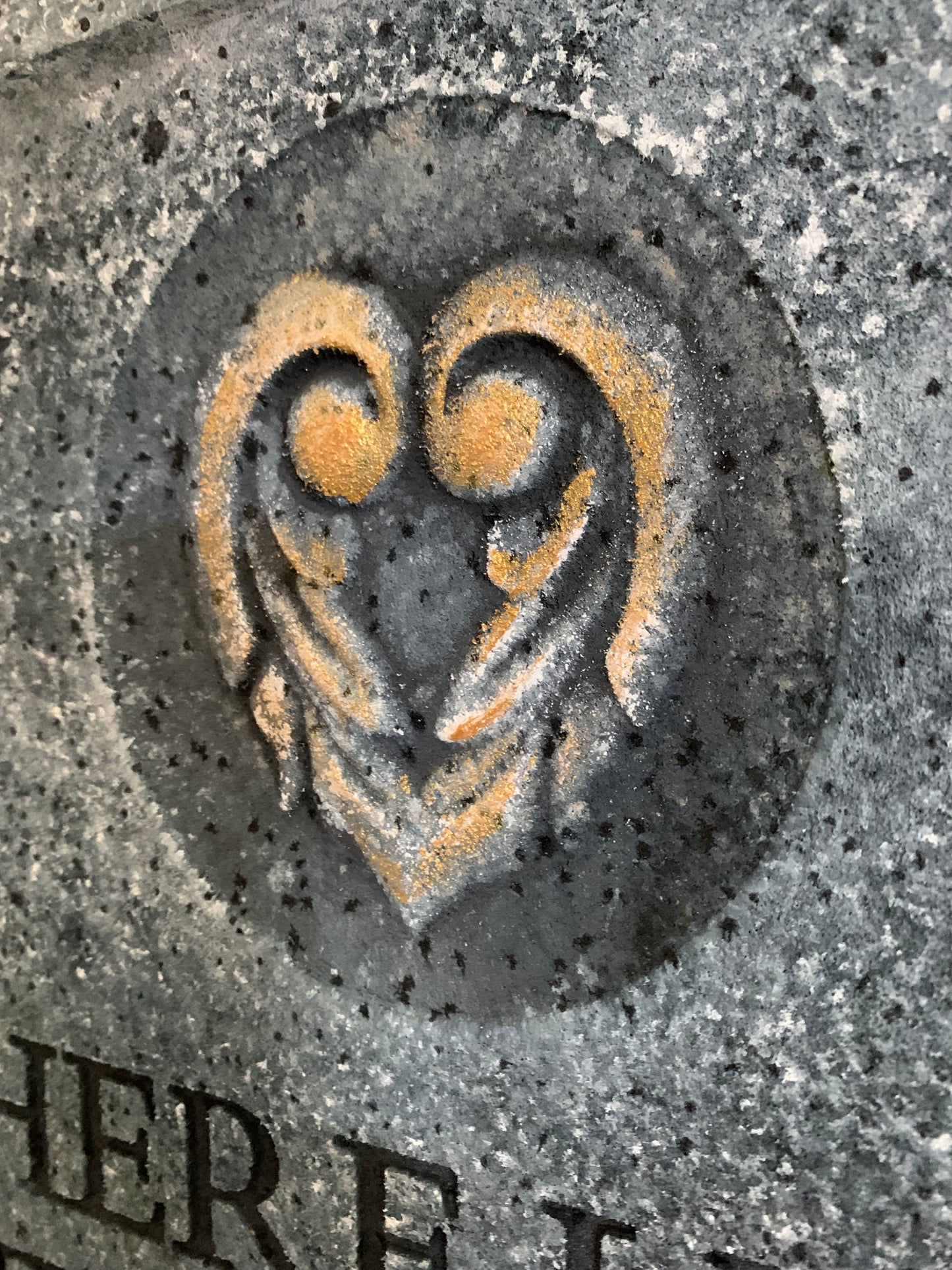 Here Lies Our Beloved Pet, Should Have Taken Him To The Vet